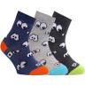 Шкарпетки дитячі Conte-kids Tip-Top 5С-11СП (297)