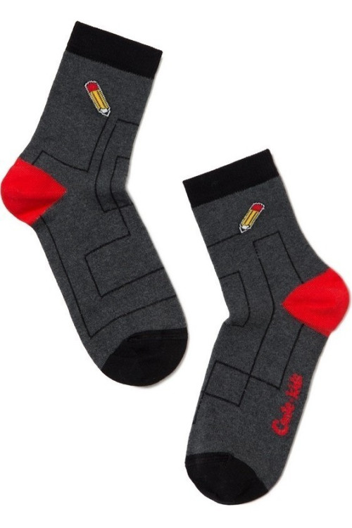 Шкарпетки дитячі Conte-kids Tip-Top 5С-11СП (397)
