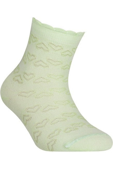 Шкарпетки дитячі Conte-kids Bravo 14С-13СП (184)