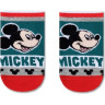 Шкарпетки дитячі Conte-kids Disney 17С-126/1СПМ (341)