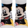 Шкарпетки дитячі Conte-kids Disney 17С-126/1СПМ (345)