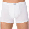 Труси чоловічі Diwari Basic MSH 127 шорти