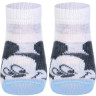 Шкарпетки дитячі Conte-kids Disney 17С-126/1СПМ (360)