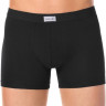 Труси чоловічі Diwari Basic MSH 700 шорти