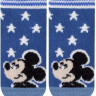 Шкарпетки дитячі Conte-kids Disney 17С-126/1СПМ (362)
