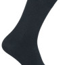 Шкарпетки чоловічі Chili Tencel 436-001 віскозні