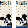 Шкарпетки дитячі Conte-kids Disney 17С-126СПМ (349)