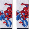 Шкарпетки дитячі Conte-kids Marvel 17С-132СПМ (357) Людина-павук